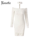 Rosetic Gothic Bodycon Cold Shoulder Lace Dress with Collar