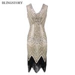 1920s/Great Gatsby Retro Sequin Fringe Flapper Dress